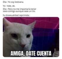 Free download Bisexualidad [ Meme ] free photo or picture to be edited with GIMP online image editor